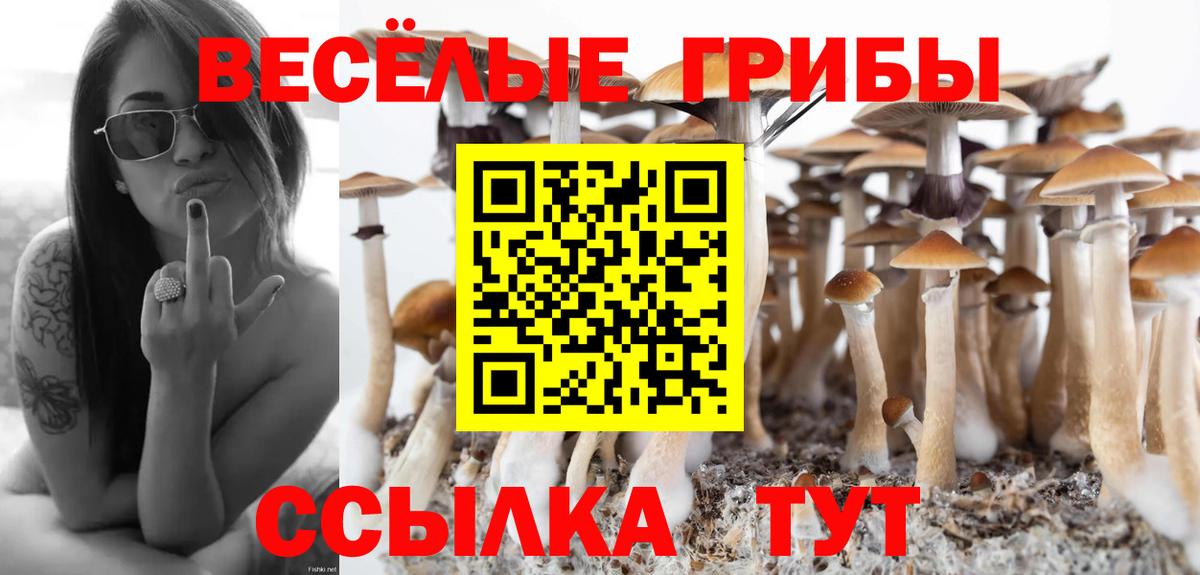 Истра  что такое   Вход с VPN  Галлюциногенные грибы Cubensis  Галлюциногенные грибы Cubensis 